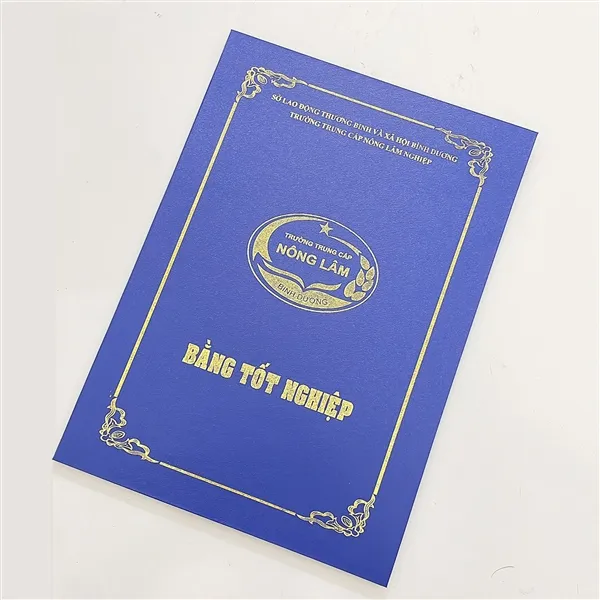 In Bìa Mạ Vàng Đóng Cuốn